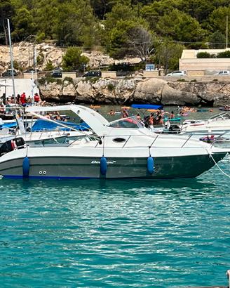 Dolphin 25 cabinata