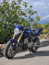 Honda Hornet 600 - 2006