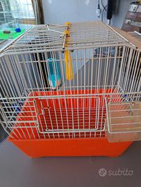 gabbia uccelli