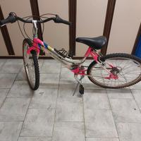 bicicletta da donna 