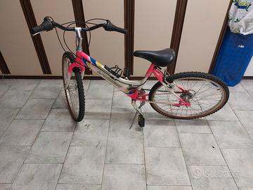 bicicletta da donna 