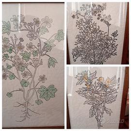 Sei stampe, disegni erbario su carta-cornici legno