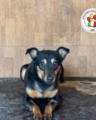 TEA sei ancora tanto giovane