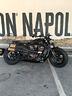 harley-davidson-sporster-s-2022