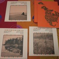 Dischi vinile blues rock country folk indiani