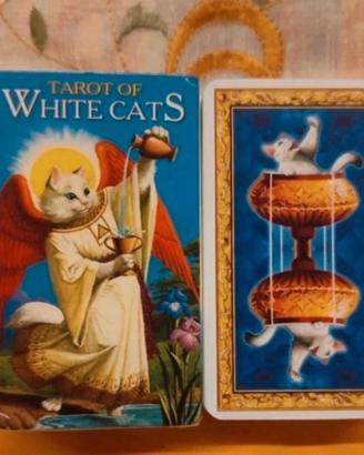 Mazzo cartei di Gatti bianchi deck 78
Cards mistic