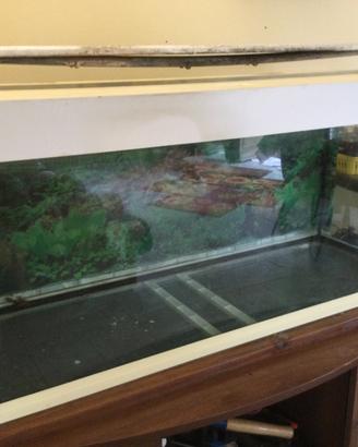 acquario Ferplast modello Dubai