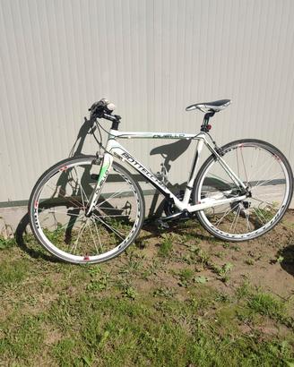 bici da stada