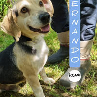 Fernando taglia piccola