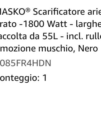 Areggiaore