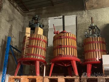 Torchio per il vino