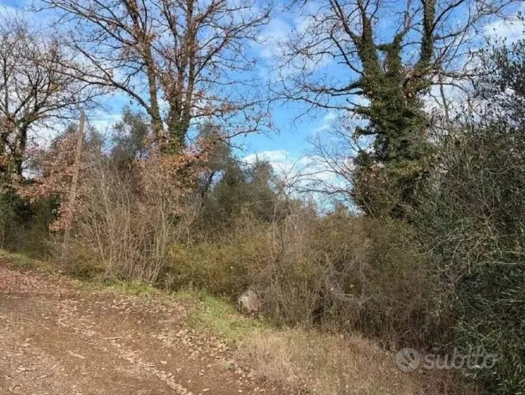 Immobile in asta di 14090 m² a Bomarzo - Vista 4
