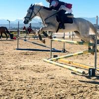 Super Pony