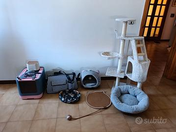 accessori per gatti