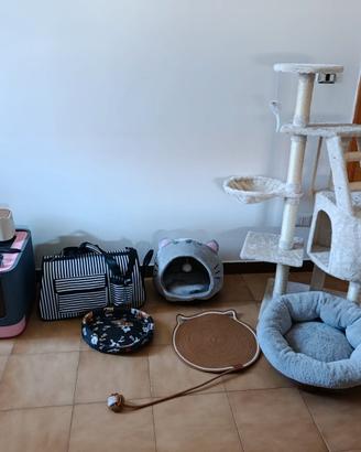 accessori per gatti
