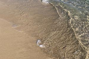 Villetta primula a baia verde