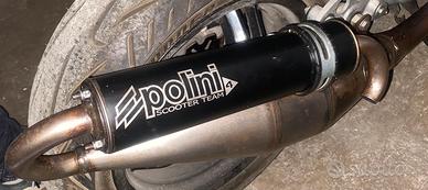 Marmitta Polini team scooter 4-minarelli orizzonta