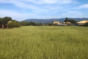 Terreno in Campagna Abitativa mq 5500