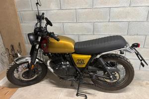 brixton cromwell250