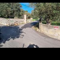 Terreno 8000mq prezzo in calo