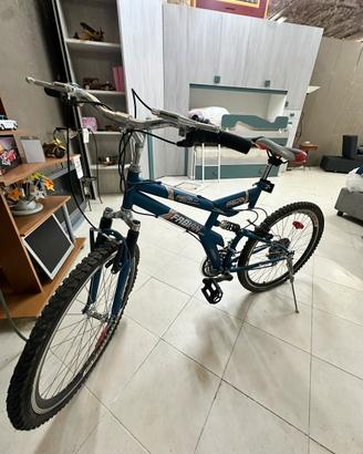 Bicicletta Fabian