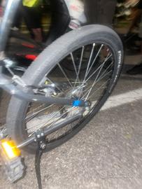 bicicletta
