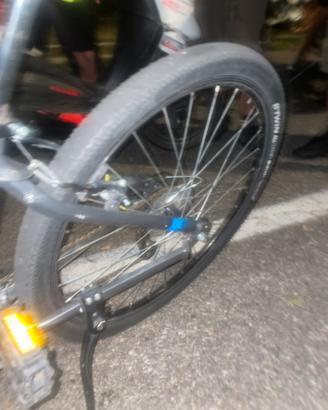 bicicletta