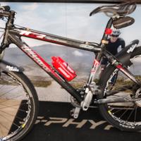 MTB olmo carbonio