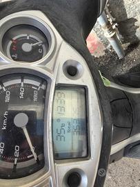 xcity 250 targa polacca