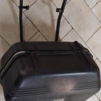 bauletto 