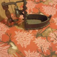 Ferri da stiro antico a carbone –  da collezione