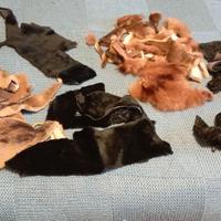 Pezzi di pelliccia naturale diversa.