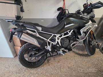 triumph tiger 900 rally pro