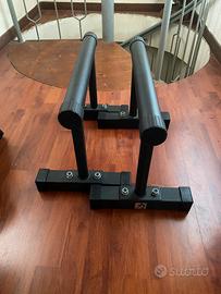 Parallele calisthenis