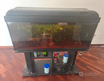 Acquario 240 litri