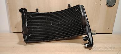 Radiatore acqua completo di ventole ducati 749