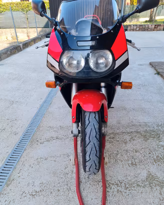 suzuki gsx-r 1100