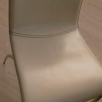 Sedie in cuoio marca Cattelan 