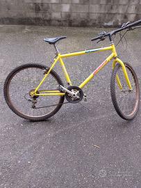 bici da uomo