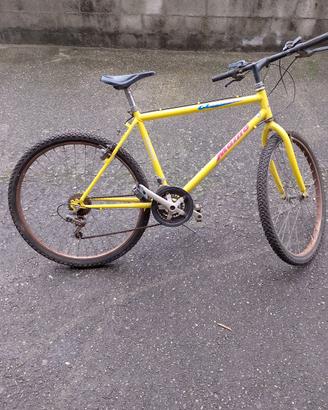 bici da uomo