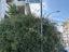 Immagine 27