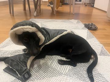Cappotto invernale per  cane taglia piccola