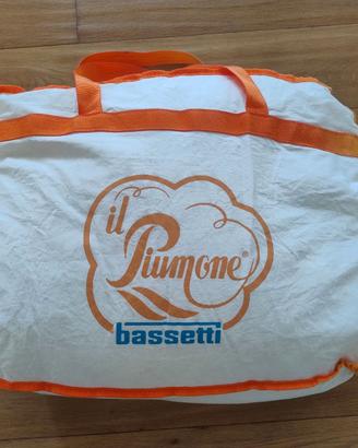 Piumone 100% oca letto singolo Bassetti