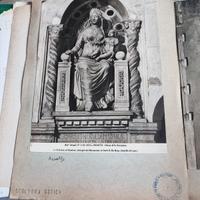 Illustrazioni fotografiche Università di Firenze