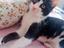 Immagine 5