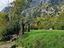 Immagine 17