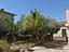 Immagine 27