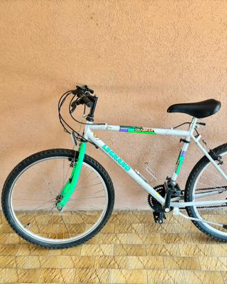 Bicicletta mountain bike,ragazzo