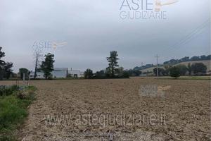 Terreno Residenziale Ostra [A4329370]