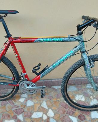 MTB telaio in alluminio 
